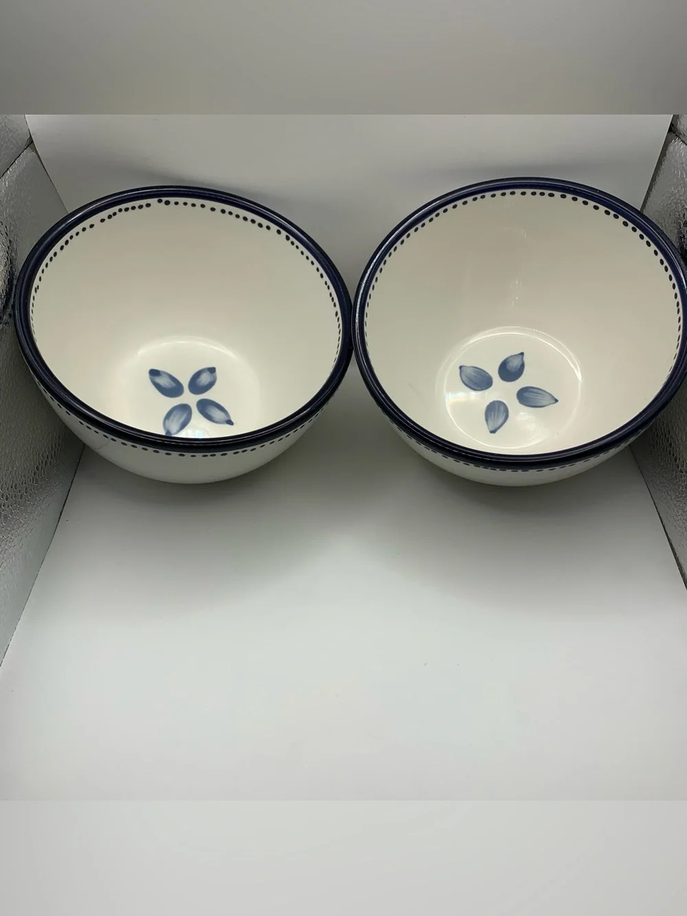 Pottery Barn Tiburon Blue Dots Leaves set of 2 Coupe Soup Cereal Bowls